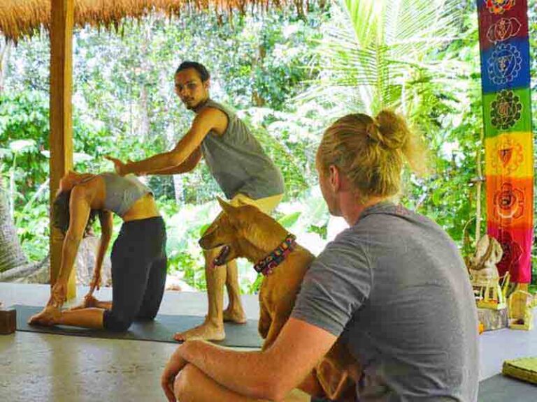 My Guide to the Best Yoga Retreats in Bali (2025 Roundup)