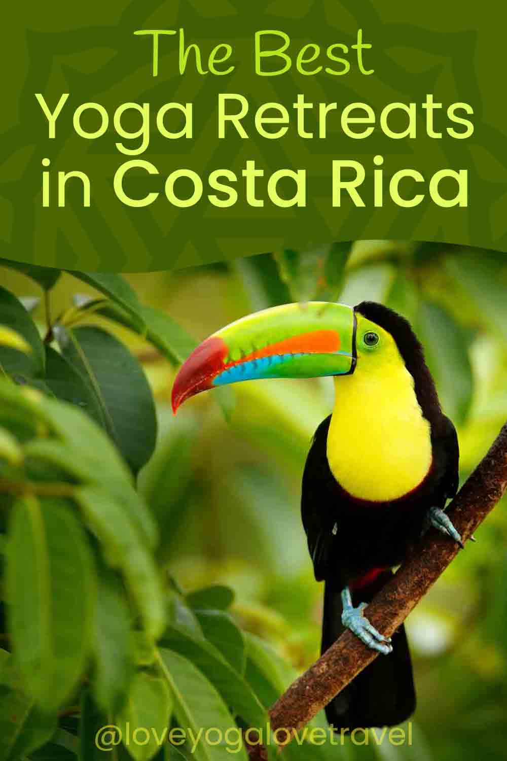 Pin Me! "The Best Yoga Retreats in Costa Rica"