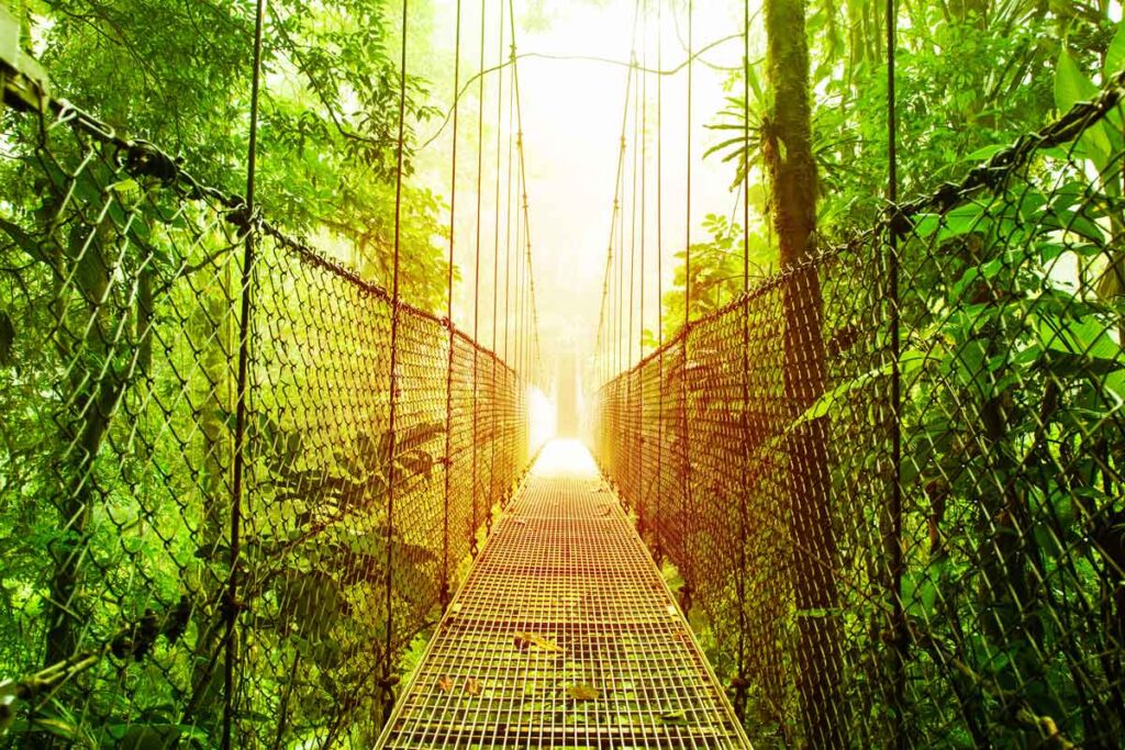 hanging bridge in the costa rica jungle
