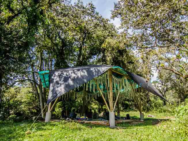 Kiekariterra yoga training in Mexico