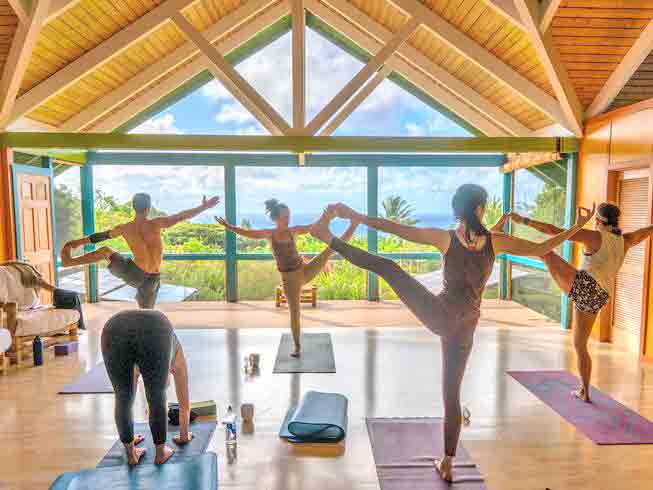 DiviniTree yoga retreats in the USA