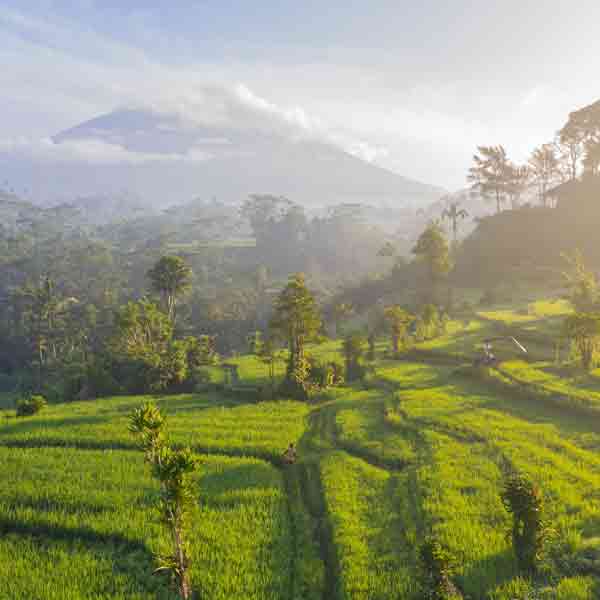 Yoga Retreats in Bali