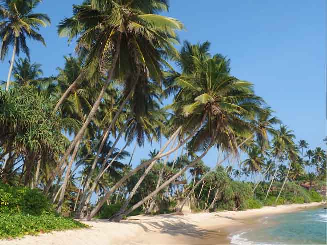 Sri Lanka beach by Katka100