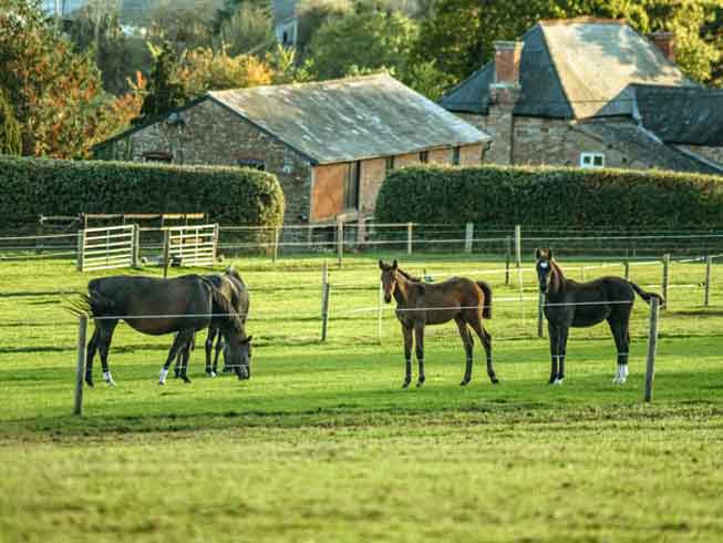 Plantation Villa, Nuxton Farm, UK