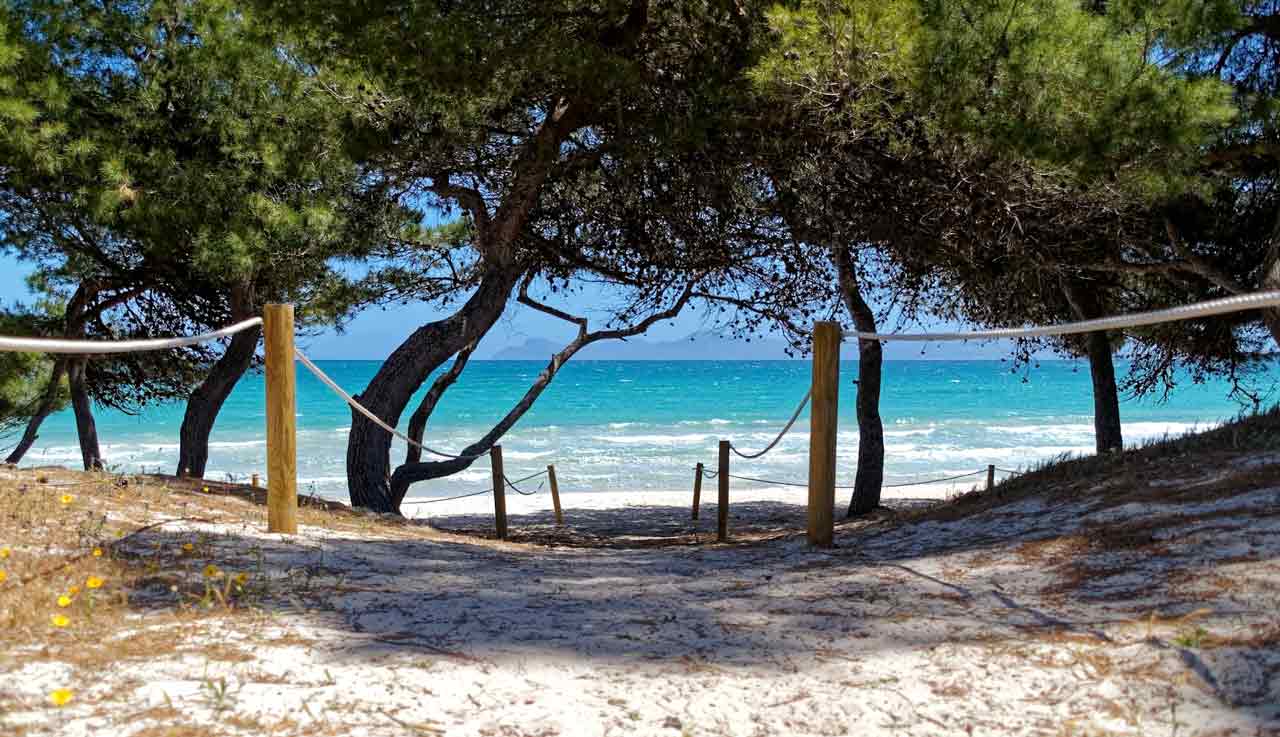 A beautiful beach close to the best yoga retreats in Mallorca