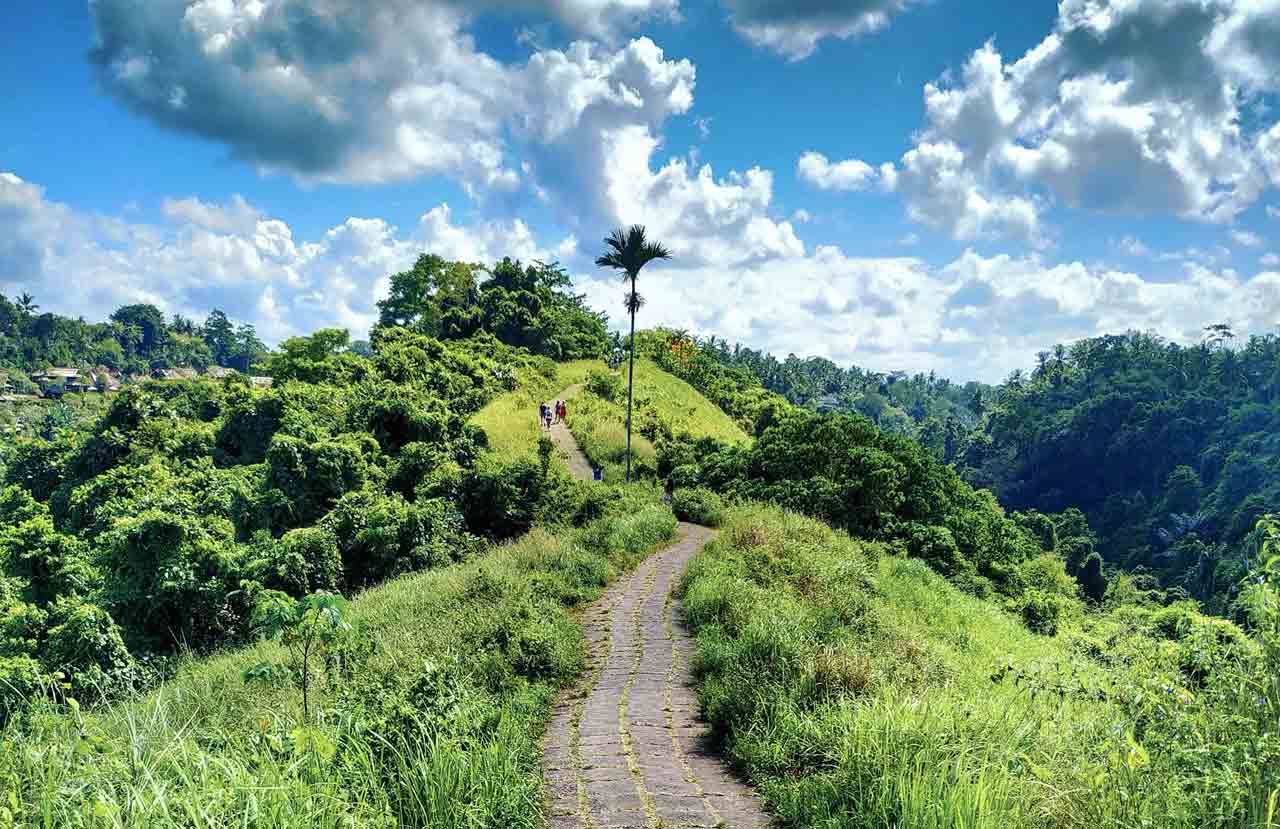 Campuhan Ridge Walk, Ubud, Bali