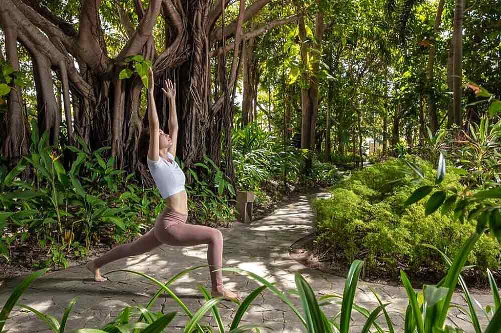 Realistic Asia Yoga Retreat in Vietnam