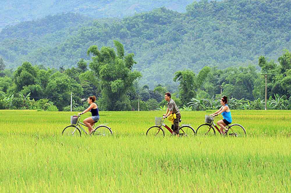 VNxpedia vietnam yoga tour