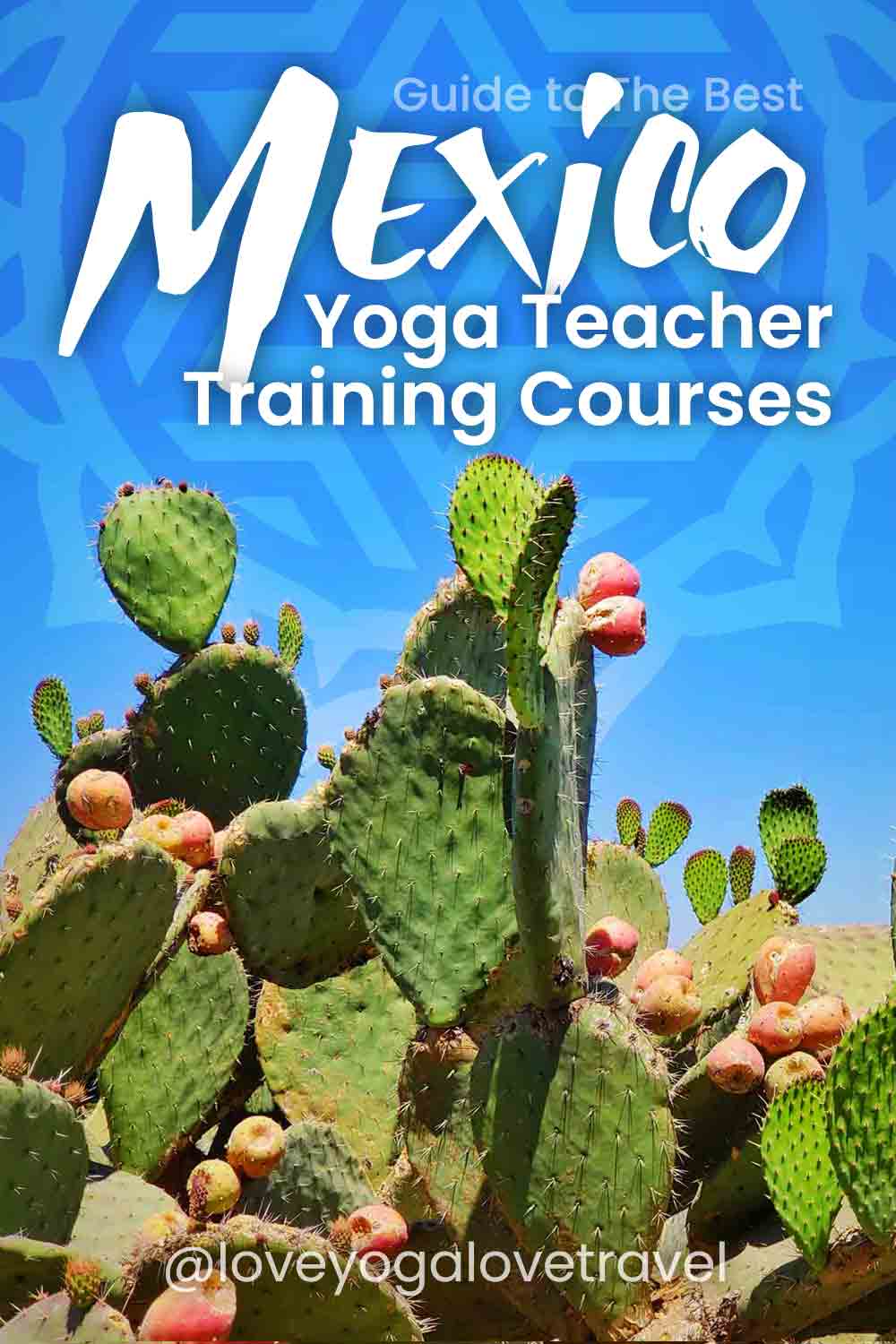 The Best Yoga Teacher Training Courses in Mexico - recommended by Love Yoga Love Travel