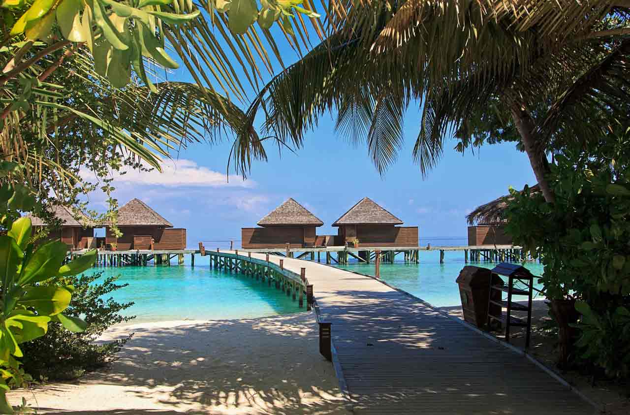 The Maldives yoga tour