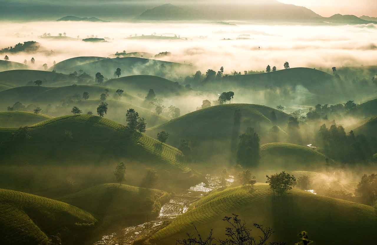 Long Coc tea hills in Vietnam. photo by MrBinZ on pixabay