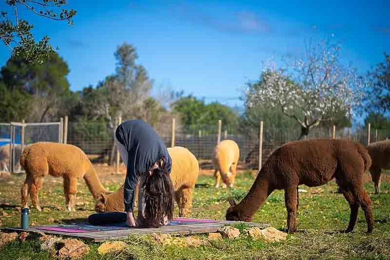 Casa Shakti yoga in Ibiza